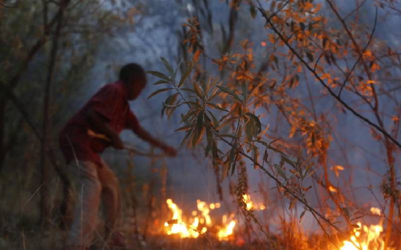 Fire destroys 50 ha of Menengai forest