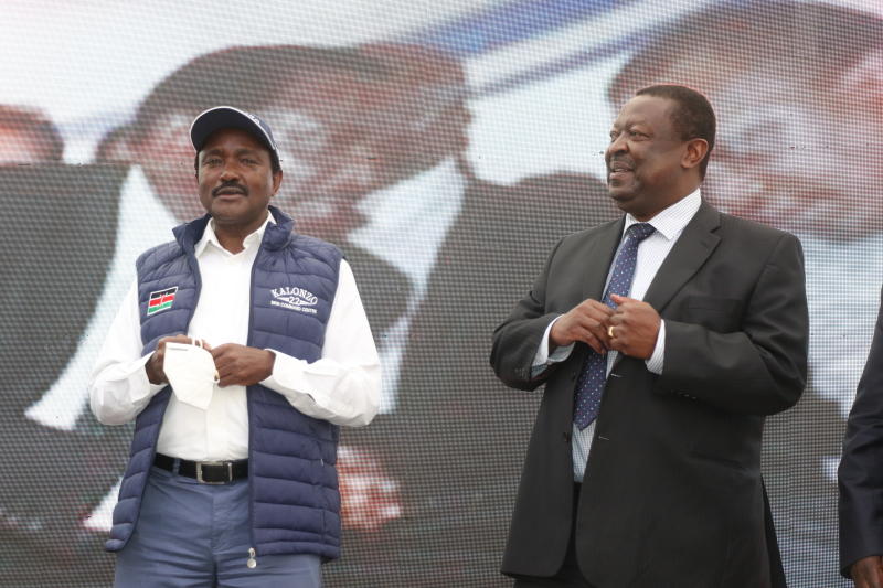 ‘Forces of doom’ keen to scuttle our plans, say Kalonzo and Mudavadi