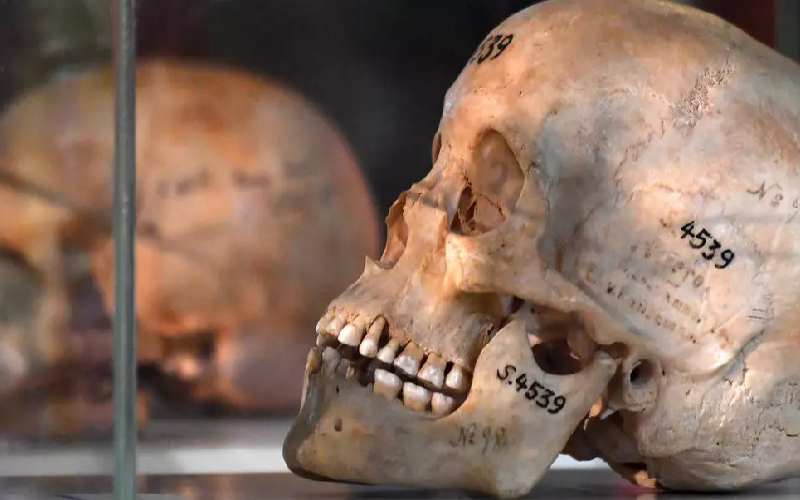 Germany recognises colonial ‘genocide’ in Namibia, commits Sh130b in reparations