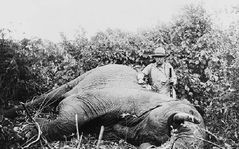 When Churchill and Roosevelt slaughtered Kenyan wildlife