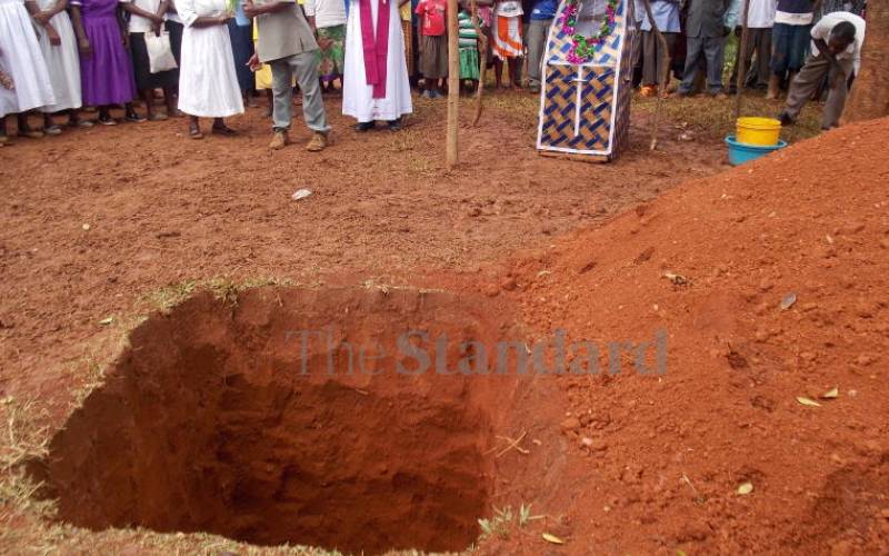 where several bulls are assembled for a fight...