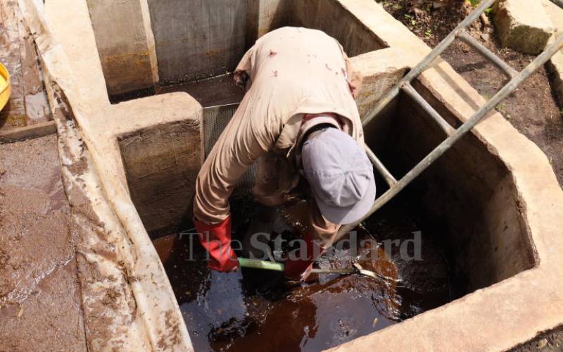 Kenyan organic fertiliser firm gets Sh10m grant