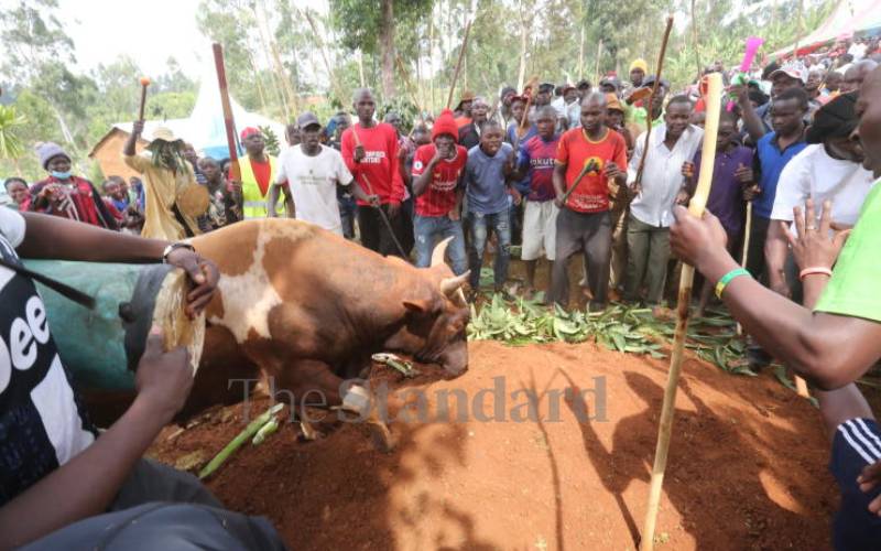 They represent the last part of an elaborate...