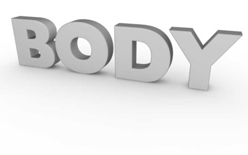 Body text. Body надпись. Надпись bods. Красивая надпись body. Логотип body Letters.