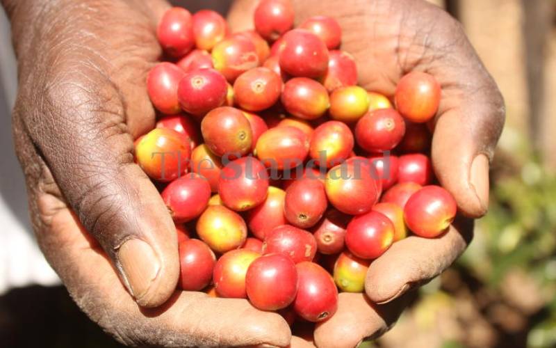 Low uptake of coffee fund by farmers blamed on sabotage 
