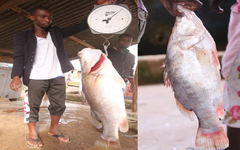 Where one kilo of 'Mbuta' stomach can get you Sh20,000