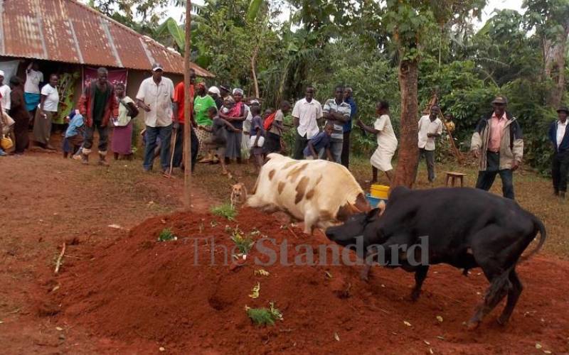 A bar is used to stop the body from toppling.
