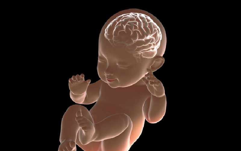 Prenatal exposure to pain killers, harmful to babies