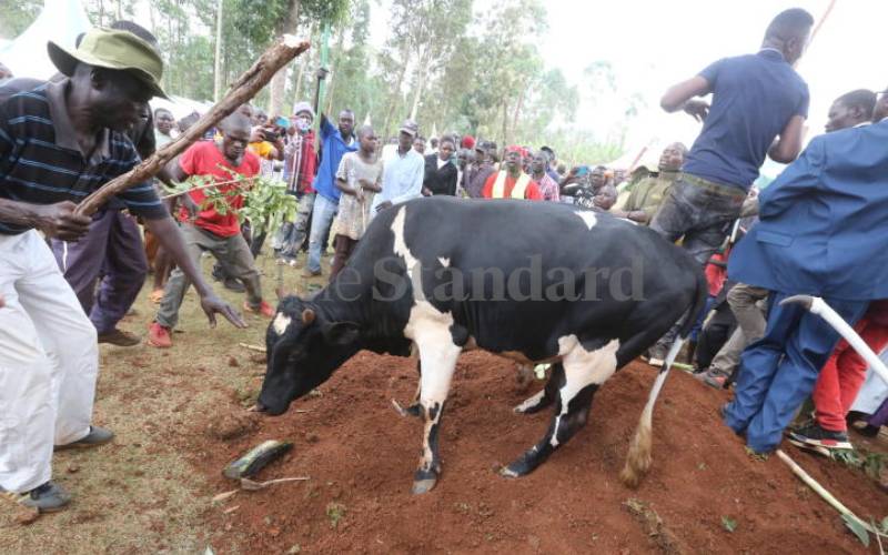 it allows the dead man 'to watch over his home'.