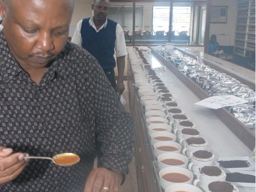State mulls ban on direct tea sales