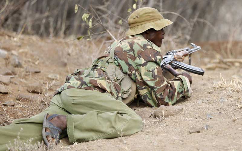 22 cows stolen after reservists in area are disarmed