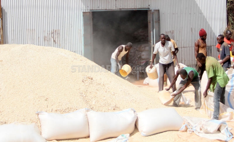 2,856 bags of relief maize contaminated