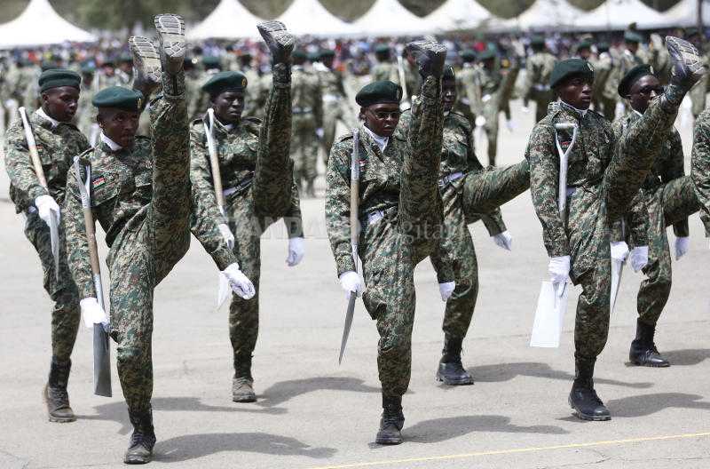 Anxiety as "agency” seeks to recruit NYS graduates aged over 40