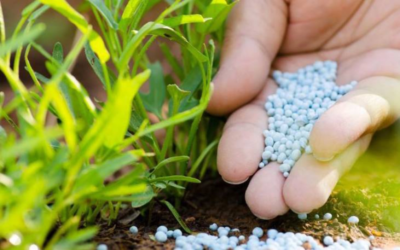 Cartels making fertiliser out of reach by killing cheaper brands