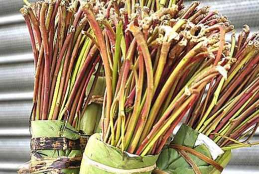 Crackdown to flush out rogue airlines blights miraa trade