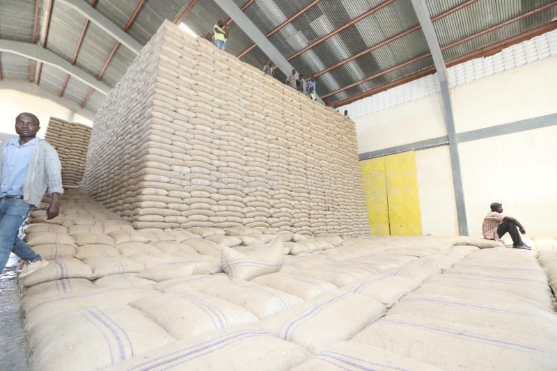Desperate farmers now sell their maize to private millers