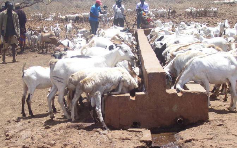 Government seeks to end drought emergencies