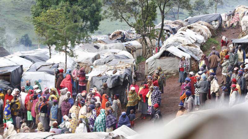 How cartels colluded to steal IDP billions