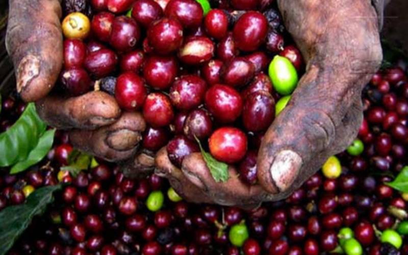 Irate farmers block coffee task force