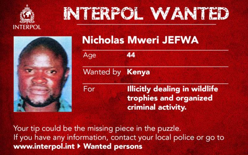 Kenyan brothers on Interpol wanted list