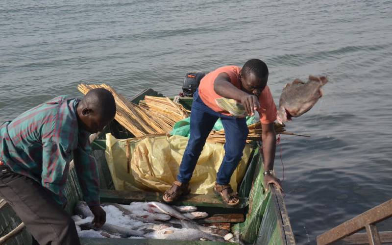 Migori fishermen released after paying Tanzanian police Sh490,000