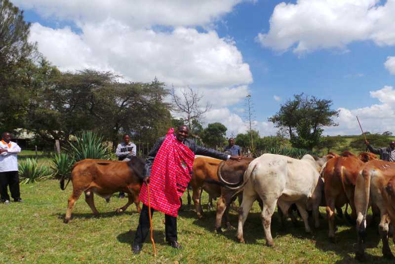 Samburu dedicate 5,000 acres of land to pasture 