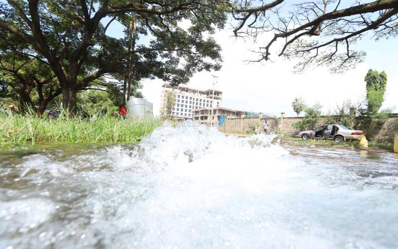 Sh3b water goes down the drain