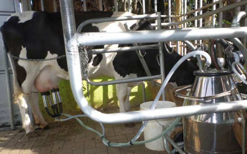 Sh350m milk processing plant to benefit farmers
