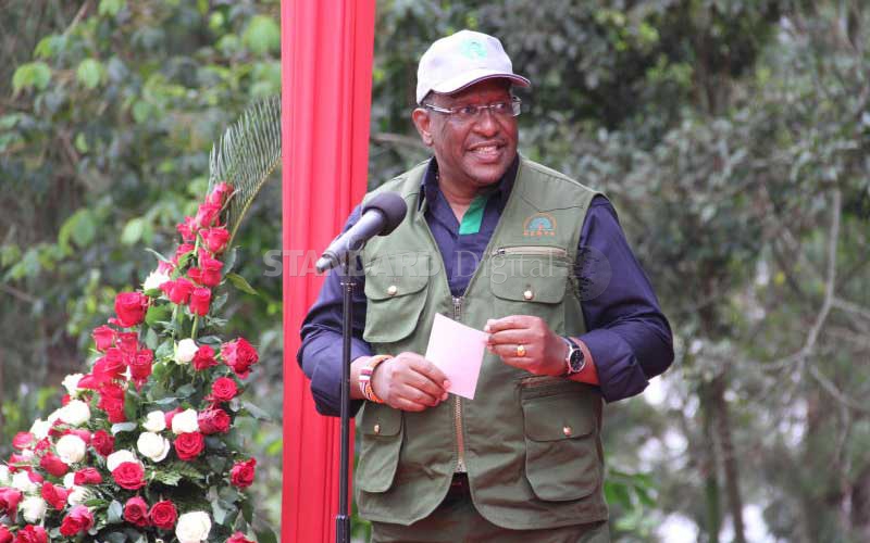 Tobiko says forests are being cut at high rate
