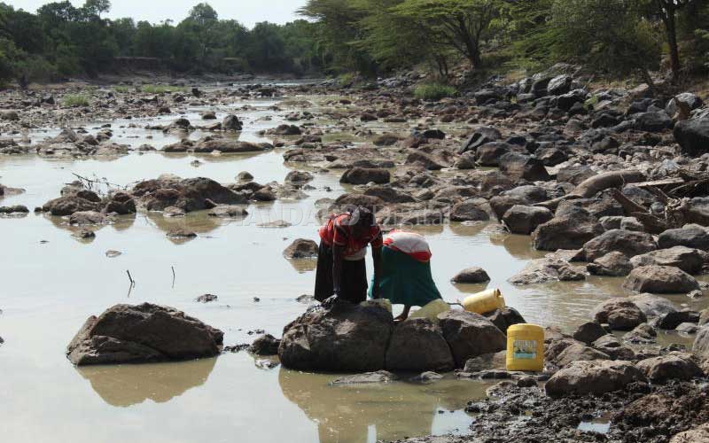 Wildlife threatened as Mara river loses water