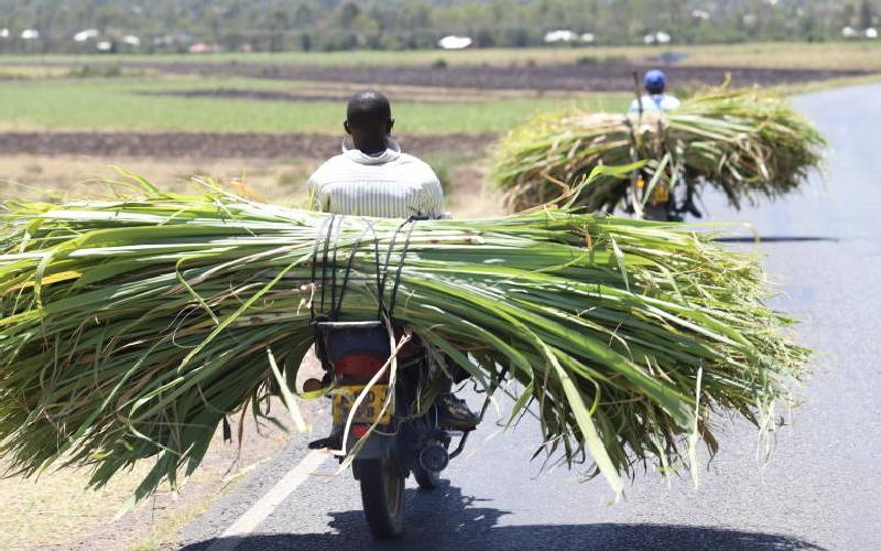Tips for handling maize stovers