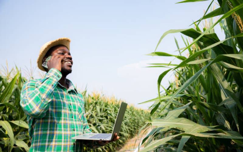 5 Most useful agricultural apps in Kenya