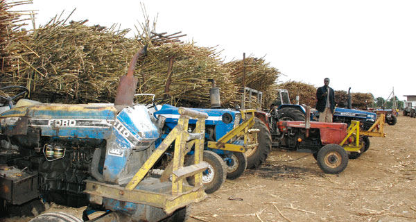 MPs sound alarm over sugar import