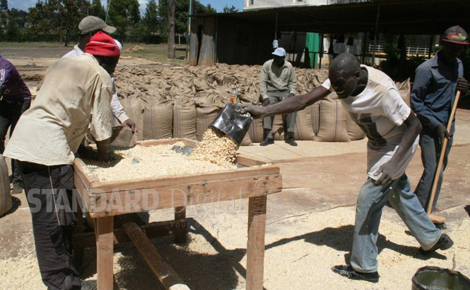 Government slashes fertiliser prices
