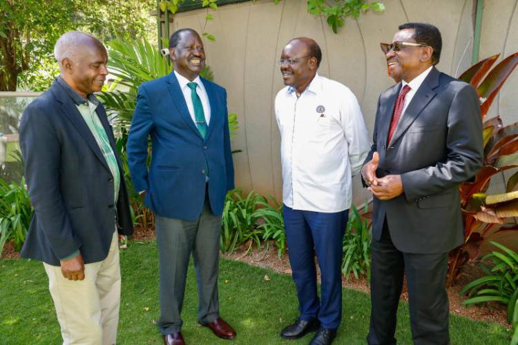 Acquiring choppers: What’s Raila up to?