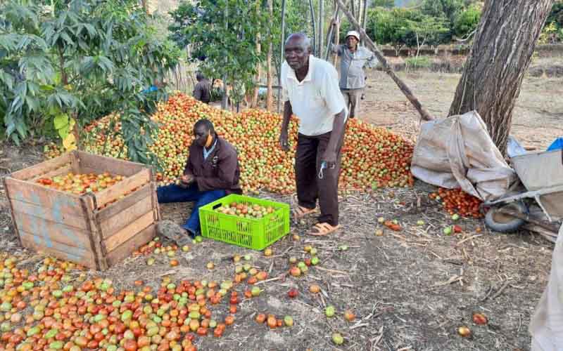 Address the knowledge gaps that hinder market access by farmers