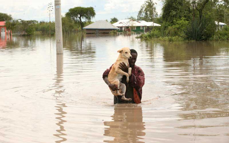 Bleak future as floods leave trail of destruction in Kisumu