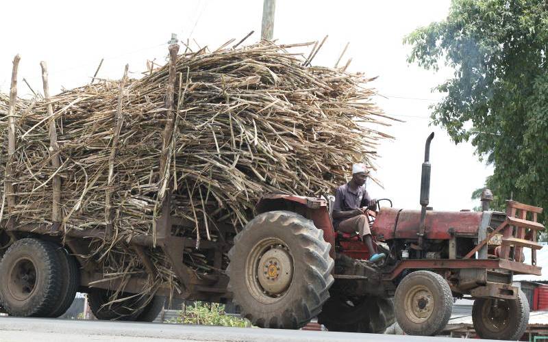 Cane farmers claim sugar miller defying Munya directive on price
