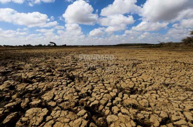 Climate Scientists warn of worse drought situation ahead