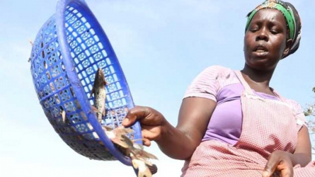 Fishermen and rice farmers cry foul of CS Rotich’s budget  