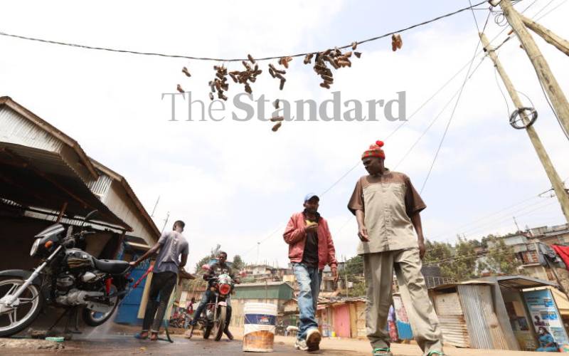 Many say they are innocent, pure memorials