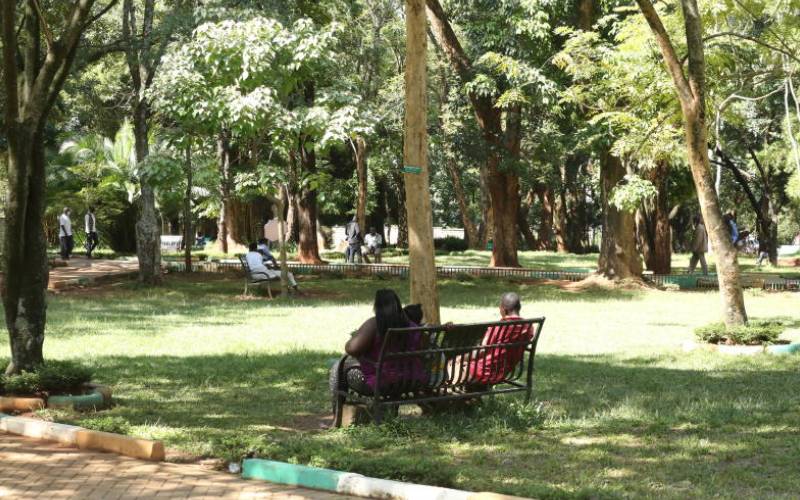 How Muliro Gardens changed from a sex den to family park - The Standard