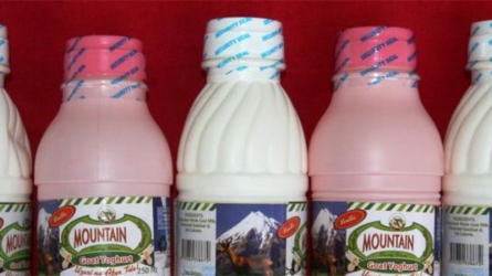 How yoghurt plants add flavour to Kenyan varsities