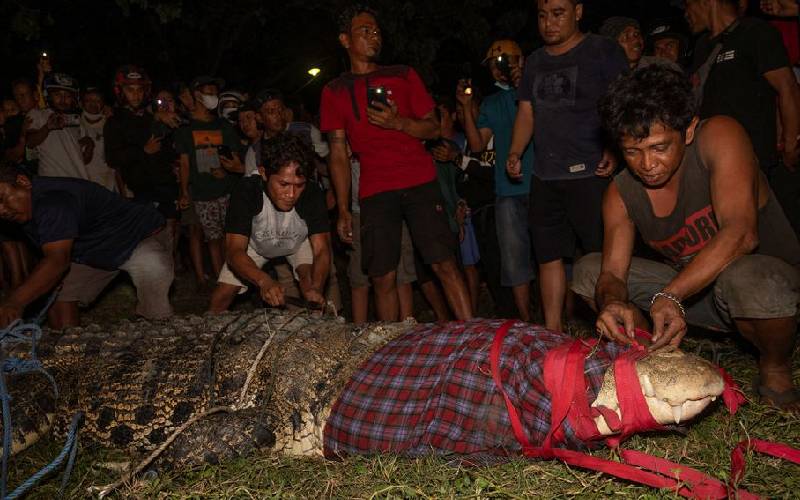 Indonesia's tyre-bound crocodile finally freed after six years