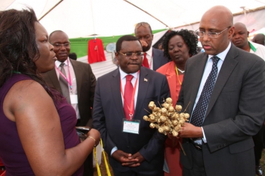 Industrialisation CS advises counties to lower tax on local traders