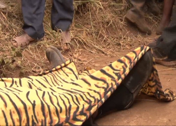Kenya: 16 charged with murders at Kihiu Mwiri Farm