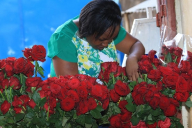 Kenya earns more from flower exports