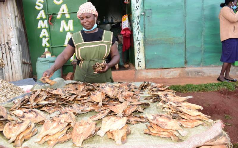 Kenya launches African women fish processor network