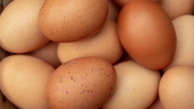 Kenya mulls duty on eggs, dairy imports