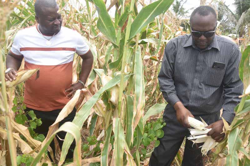 Kilifi starving families want lasting solutions to perennial famine